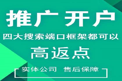 案例深度解读：SEM网络推广如何助力企业转型